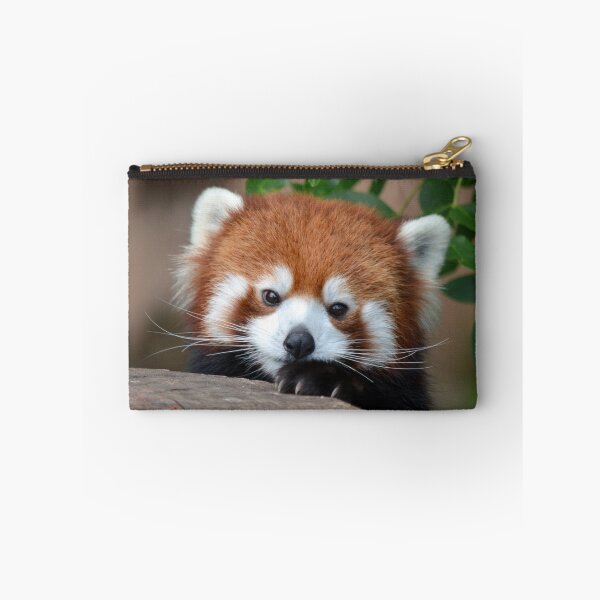 Item preview, Shy Red Panda designed and sold by sketchpoet.