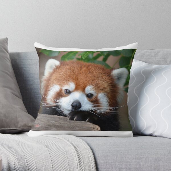 Shy Red Panda Throw Pillow