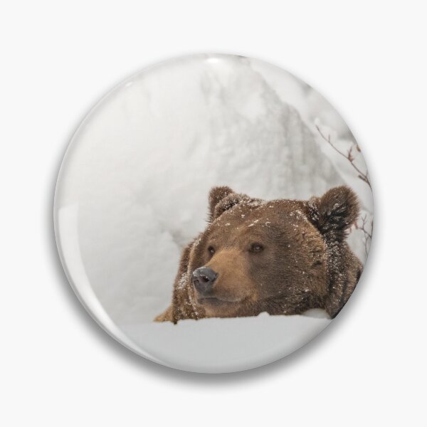 Item preview, Brown bear in the snow designed and sold by Ingo Gerlach.