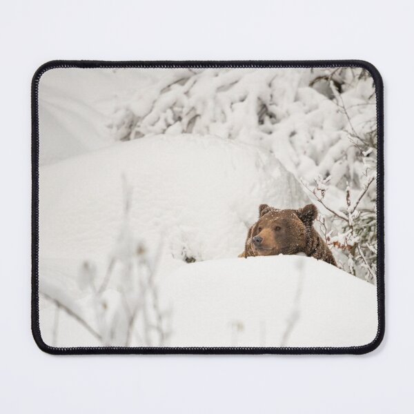 Item preview, Brown bear in the snow designed and sold by Ingo Gerlach.