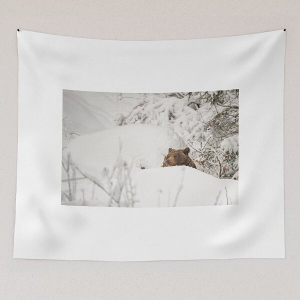 Item preview, Brown bear in the snow designed and sold by Ingo Gerlach.