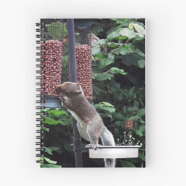 Item preview, Squirrel raiding bird nut feeder designed and sold by buttonpresser.