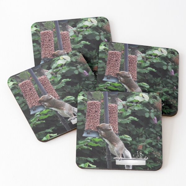 Item preview, Squirrel raiding bird nut feeder designed and sold by buttonpresser.