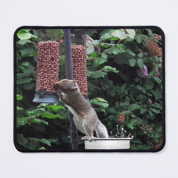 Item preview, Squirrel raiding bird nut feeder designed and sold by buttonpresser.