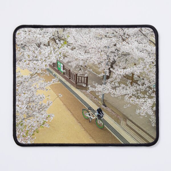 Item preview, Cherry Blossoms at Seoul Forest Park designed and sold by co-stars.