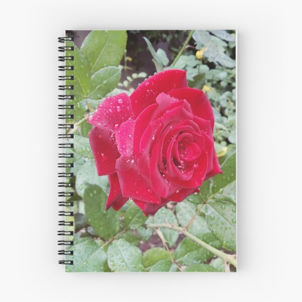 Item preview, Beautiful red rose after the rain  designed and sold by helenkaiy.