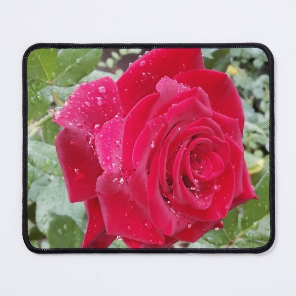 Item preview, Beautiful red rose after the rain  designed and sold by helenkaiy.