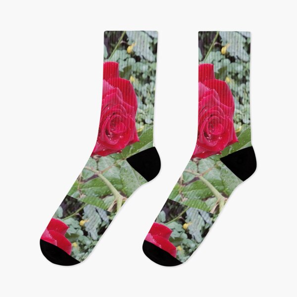 Item preview, Beautiful red rose after the rain  designed and sold by helenkaiy.