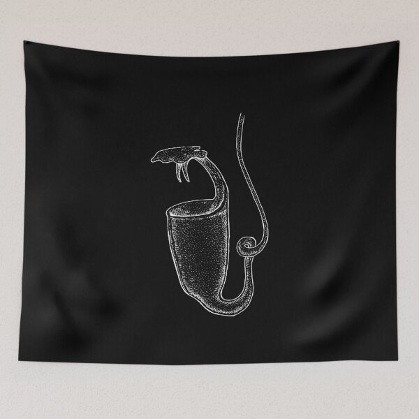 Item preview, Nepenthes Bicalcarata Pitcher Plant Botanical Drawing Carnivorous Plant designed and sold by Carnivorous  Plant Club ⭐⭐⭐⭐⭐.