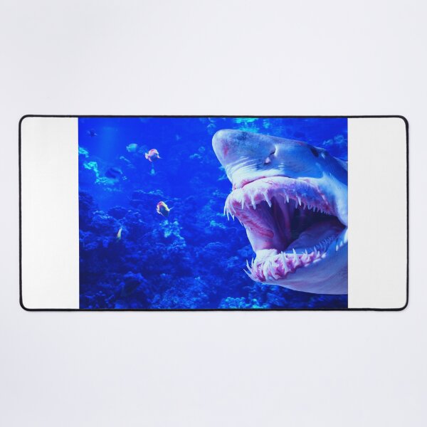Item preview, shark photo with high resolution quality designed and sold by Allyouneed-2.