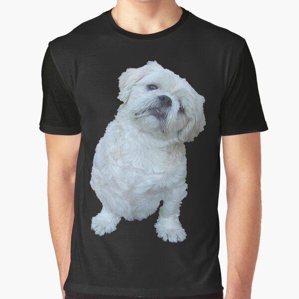 Aperçu de l'œuvre Shih tzu créée et vendue par Sebak1979.