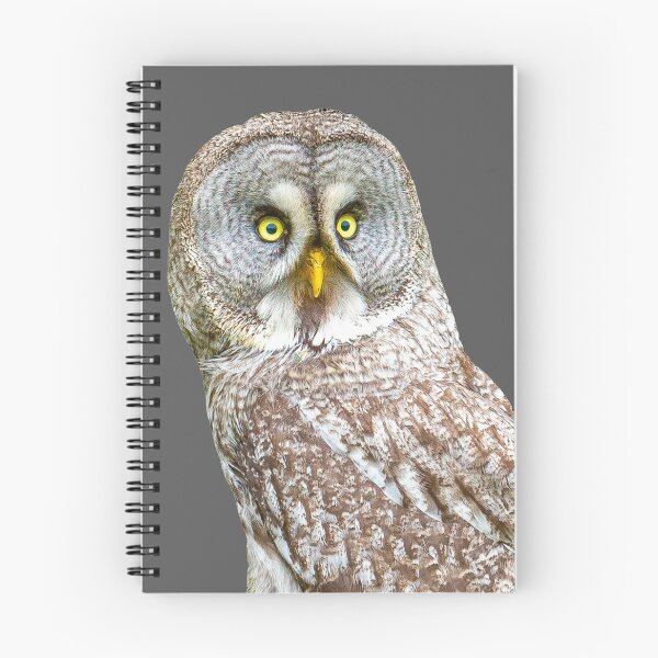 Item preview, Great Grey Owl designed and sold by Dalyndigital Photography.