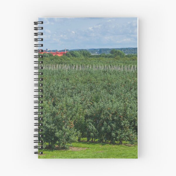 Item preview, Apple plantation, ship, Elbe, Grünendeich, Altes Land, Lower Saxony, Germany designed and sold by Torsten  Krüger.