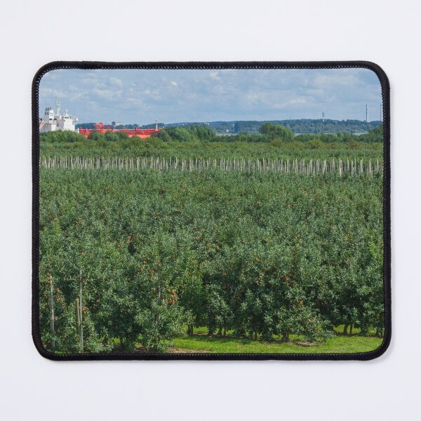 Item preview, Apple plantation, ship, Elbe, Grünendeich, Altes Land, Lower Saxony, Germany designed and sold by Torsten  Krüger.
