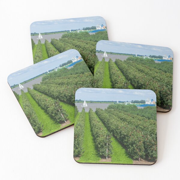 Item preview, Apple plantation, ship, Elbe, Grünendeich, Altes Land, Lower Saxony, Germany designed and sold by Torsten  Krüger.