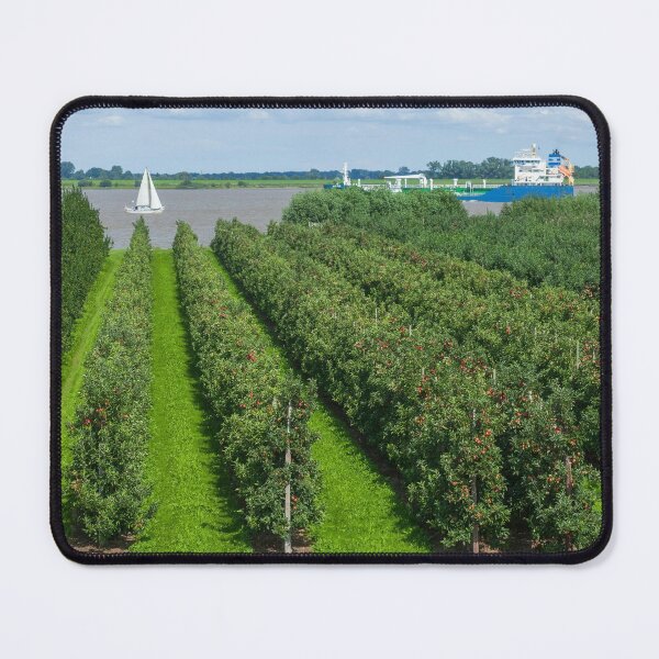 Item preview, Apple plantation, ship, Elbe, Grünendeich, Altes Land, Lower Saxony, Germany designed and sold by Torsten  Krüger.