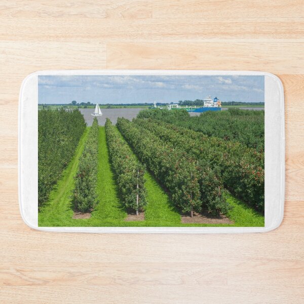 Item preview, Apple plantation, ship, Elbe, Grünendeich, Altes Land, Lower Saxony, Germany designed and sold by Torsten  Krüger.