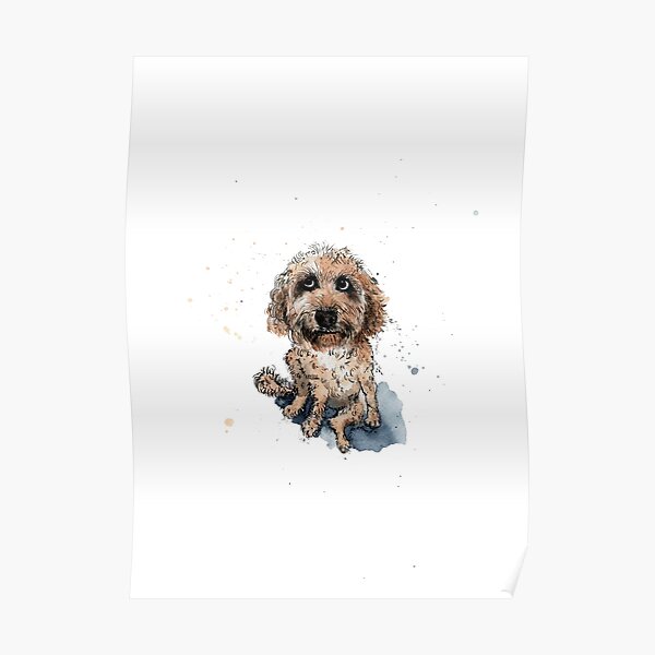 Wrendale Designs A Dog's Life Cockapoo Blank Greeting Card 