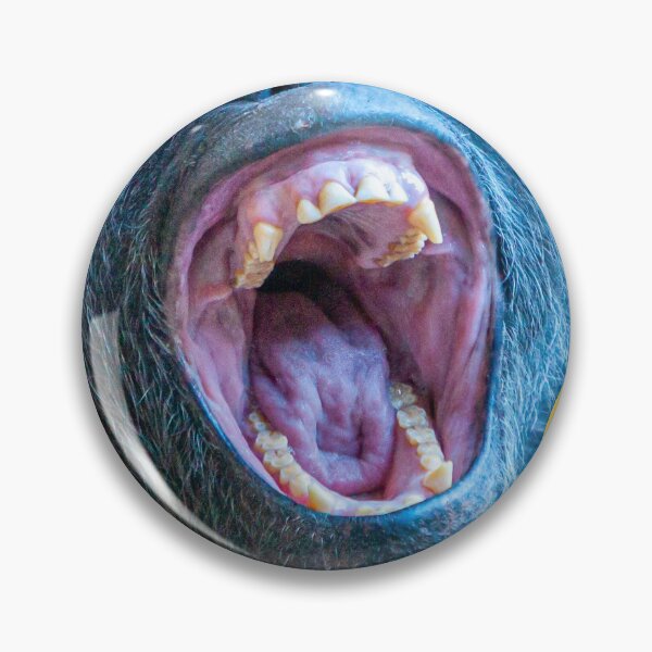 Item preview, Laughing Chimp designed and sold by Dalyndigital Photography.