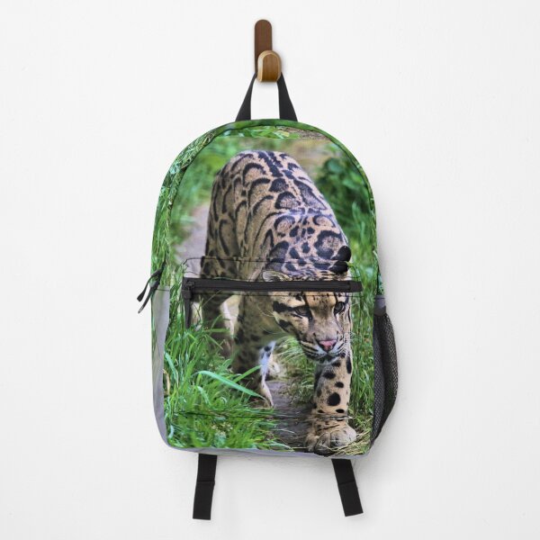 Item preview, Clouded Leopard Stroll designed and sold by Fearless-Fox.