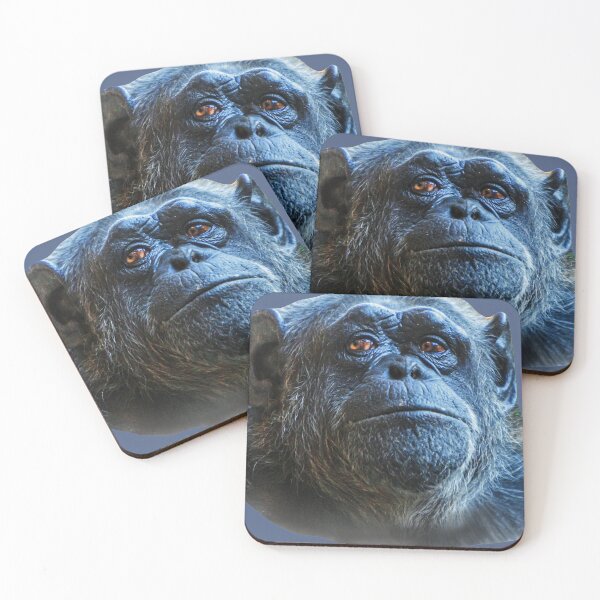 Item preview, Deep in thought Chimpanzee designed and sold by Dalyndigital Photography.