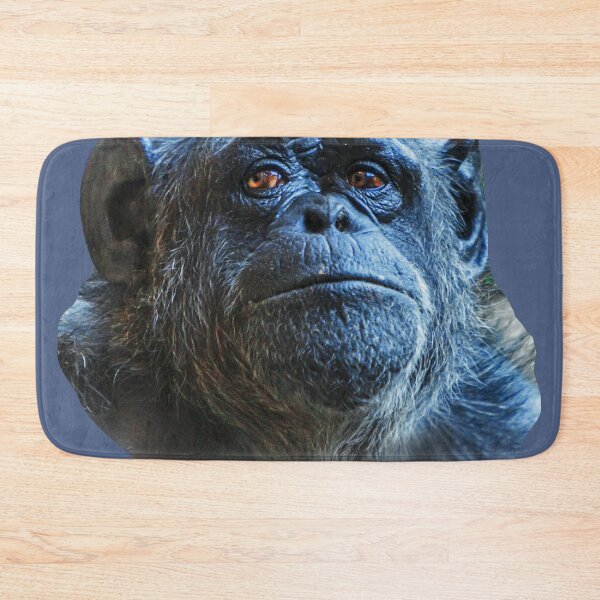 Item preview, Deep in thought Chimpanzee designed and sold by Dalyndigital Photography.