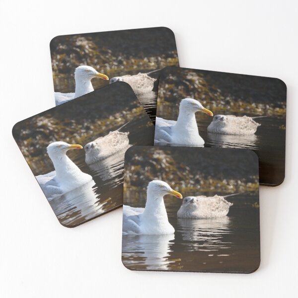 Item preview, Herring gull and chick designed and sold by GreyFeatherPhot.