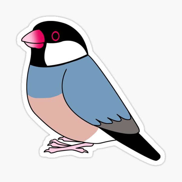 Cute house sparrow cartoon drawing Cute house sparrow cartoon drawing