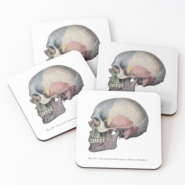 Item preview, Skull | Gray's Anatomy designed and sold by CopeStarr.