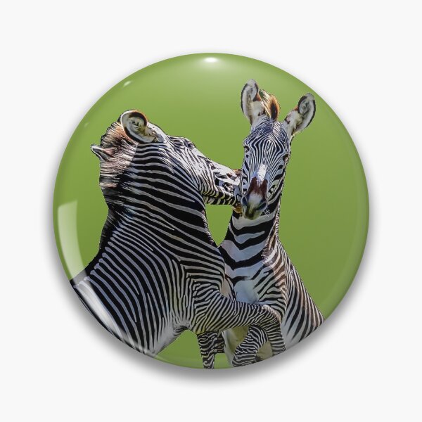 Item preview, Fighting Zebra designed and sold by Dalyndigital Photography.