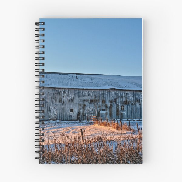 Item preview, Winter Tin Skin designed and sold by LynyrdSky.
