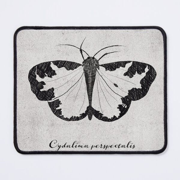 Item preview, Cydalima perspectalis designed and sold by hiirhai.