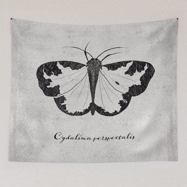 Item preview, Cydalima perspectalis designed and sold by hiirhai.