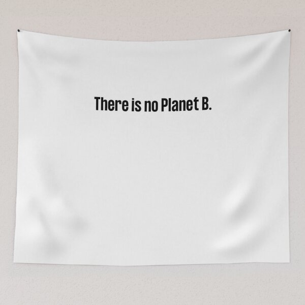 Item preview, There is no Planet B, there is no Plan B, climate change, glogal healing,socially conscious, planet earth, warming, wizard wordsmith   designed and sold by WizardWordSmith.