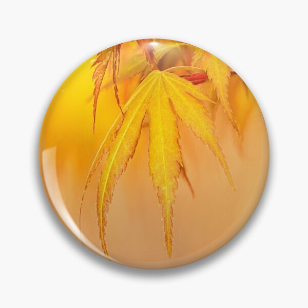 Artikelvorschau, Orange Acer-Blätter entworfen und verkauft von Tony North.