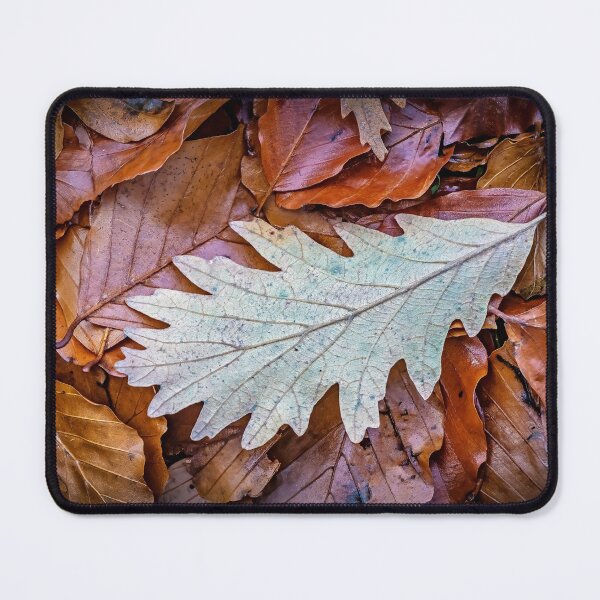 Item preview, Oak Leaf on Beech Leaves designed and sold by Tony North.