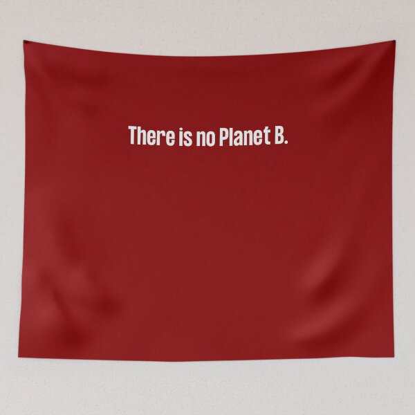 Item preview, There is no Planet B, there is no Plan B, climate change, glogal healing,socially conscious, planet earth, warming, wizard wordsmith   designed and sold by WizardWordSmith.
