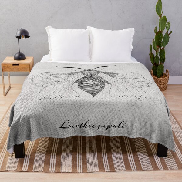 Item preview, Laothoe populi designed and sold by hiirhai.