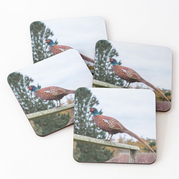 Item preview, Pheasant designed and sold by justine Gordon.
