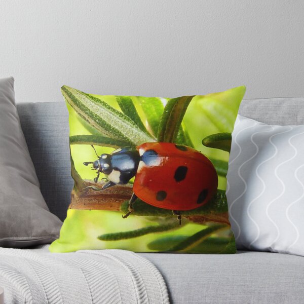 Item preview, Rosemery's looking bugged designed and sold by Ecohippy.