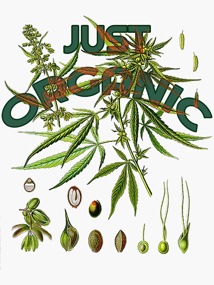 "marijuana life cycle" Sticker by redjamBIN Redbubble