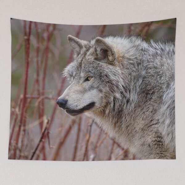 Item preview, Timber Wolf designed and sold by WolvesOnly.