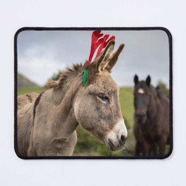 Item preview, Christmas season, donkey with decoration, funny and cute animal. designed and sold by AylaHarbich.