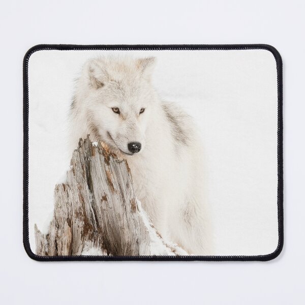 Item preview, Arctic Wolf Pup designed and sold by WolvesOnly.