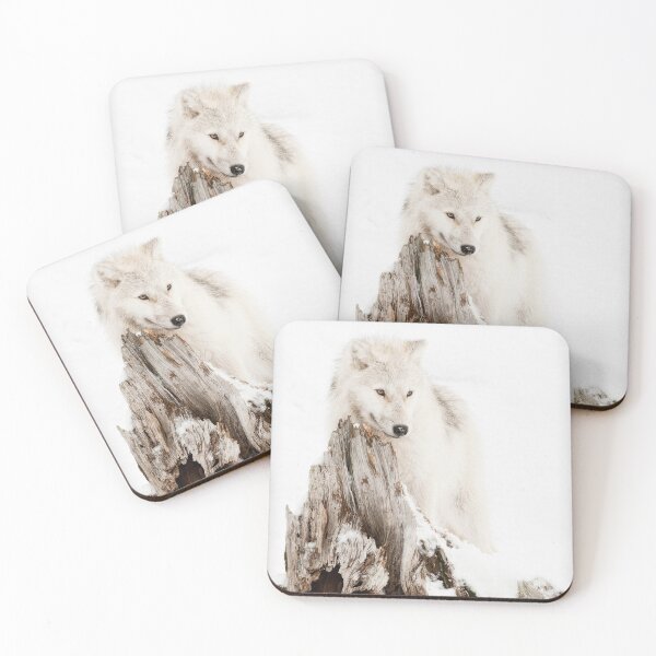 Item preview, Arctic Wolf Pup designed and sold by WolvesOnly.