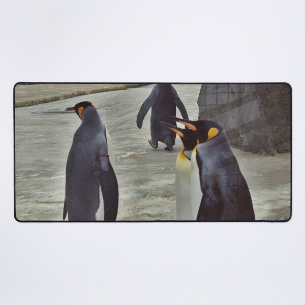 Item preview, Penguins Photography in Zoo Edinburgh designed and sold by aloresarts.