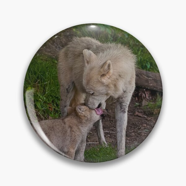 Item preview, Arctic Wolf And Pup designed and sold by WolvesOnly.