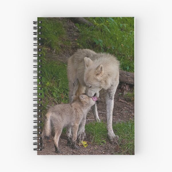 Artikelvorschau, Arctic Wolf And Pup entworfen und verkauft von WolvesOnly.