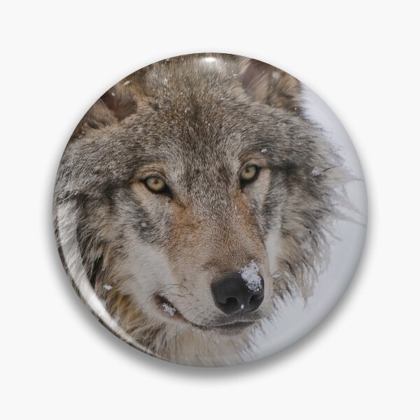 Item preview, Timber Wolf designed and sold by WolvesOnly.