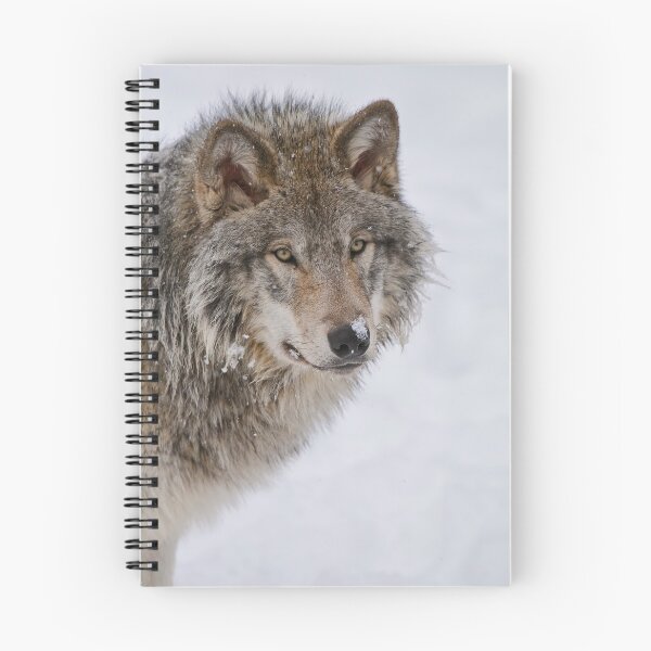 Artikelvorschau, Timber Wolf entworfen und verkauft von WolvesOnly.